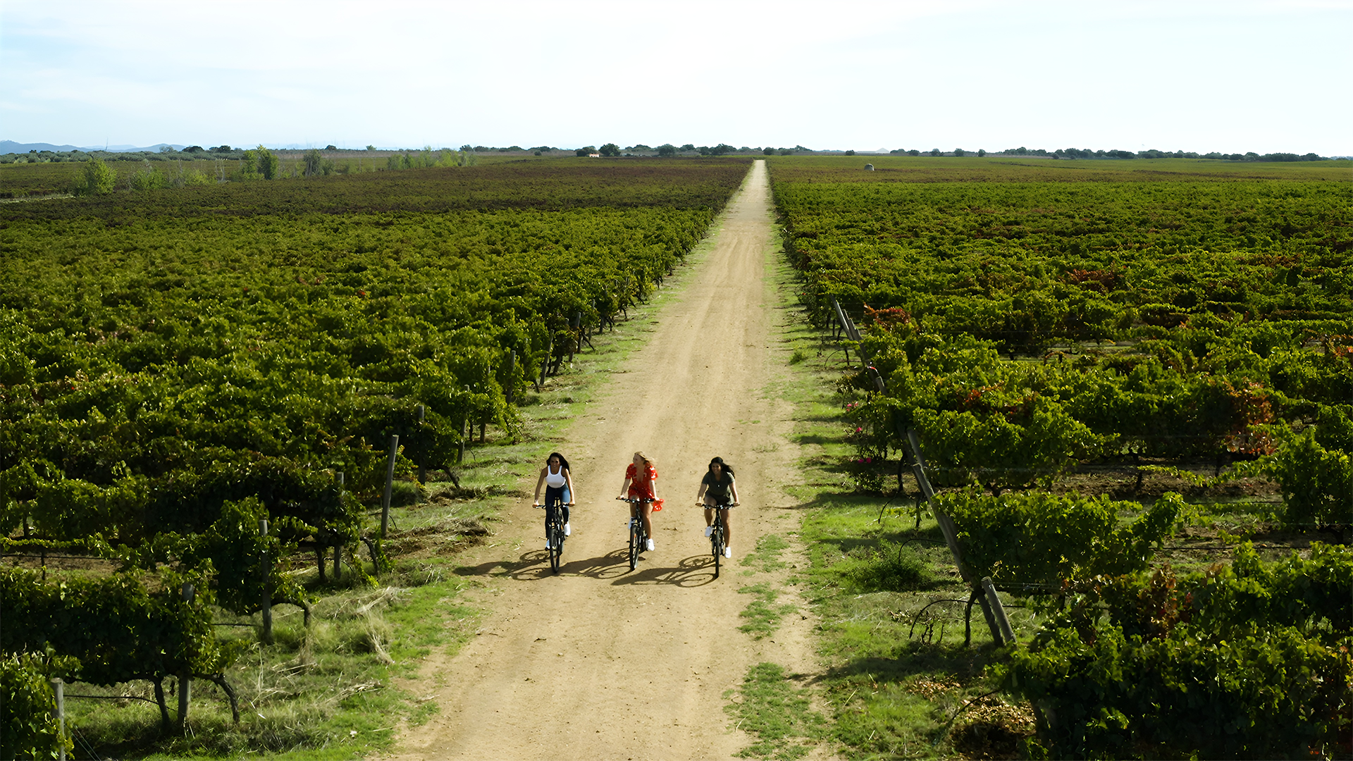 In season 2, sommeliers Liora Levi and Maya Samuelsson are joined by food expert Yolanda AnÞoì as they travel the world to find the world’s best food and wine pairings